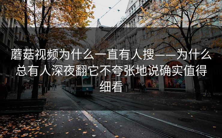 蘑菇视频为什么一直有人搜——为什么总有人深夜翻它不夸张地说确实值得细看